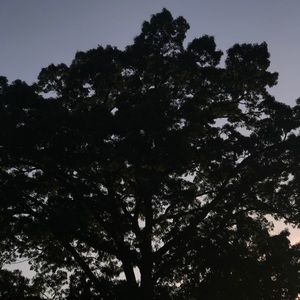 Meet your Posher, ML